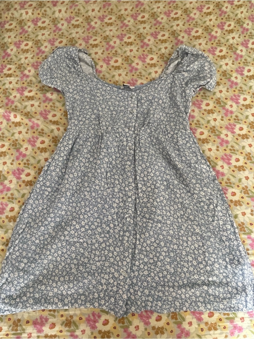 American Eagle Outfitters Light Blue Floral Button-Front Dress
